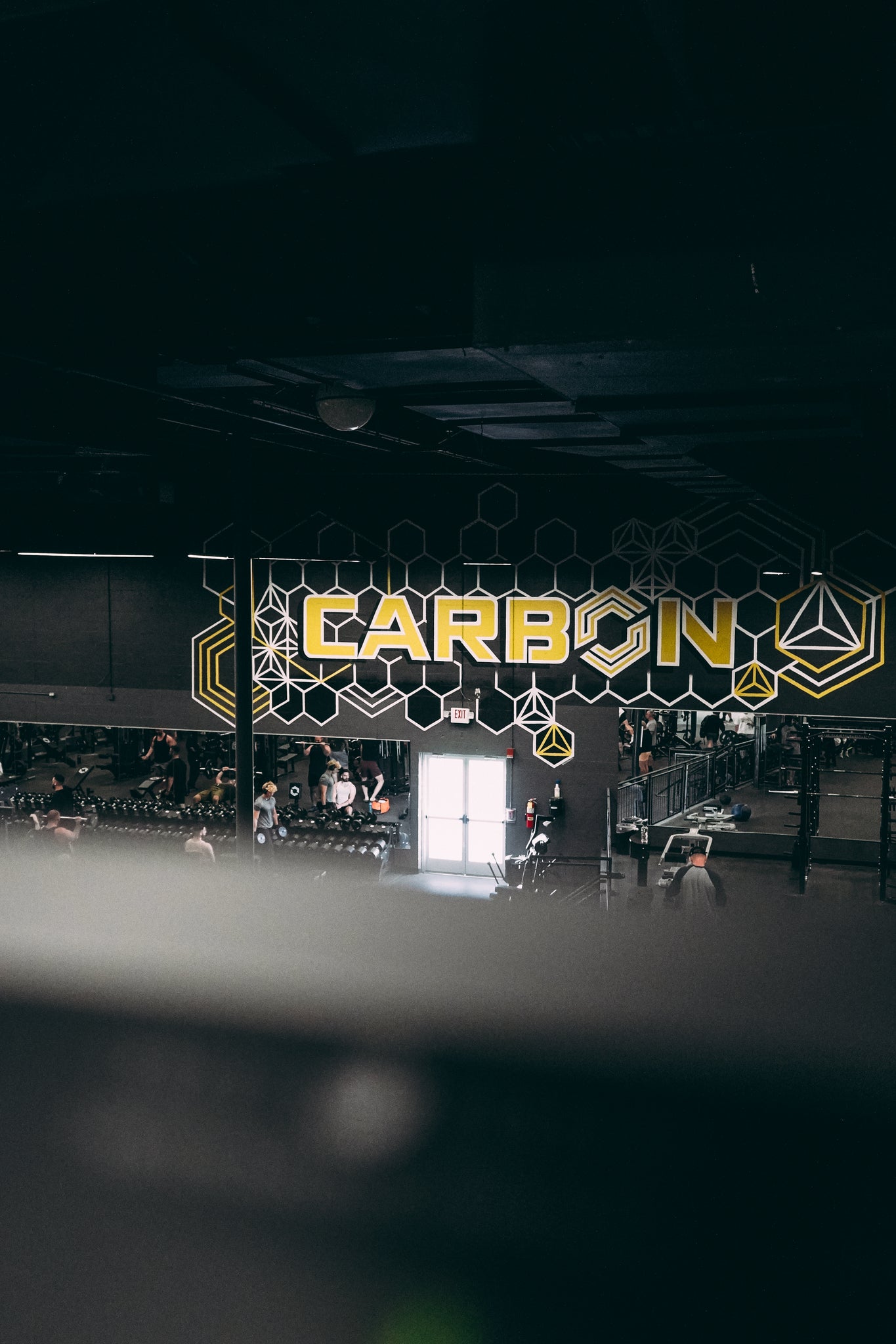 Carbon Performance